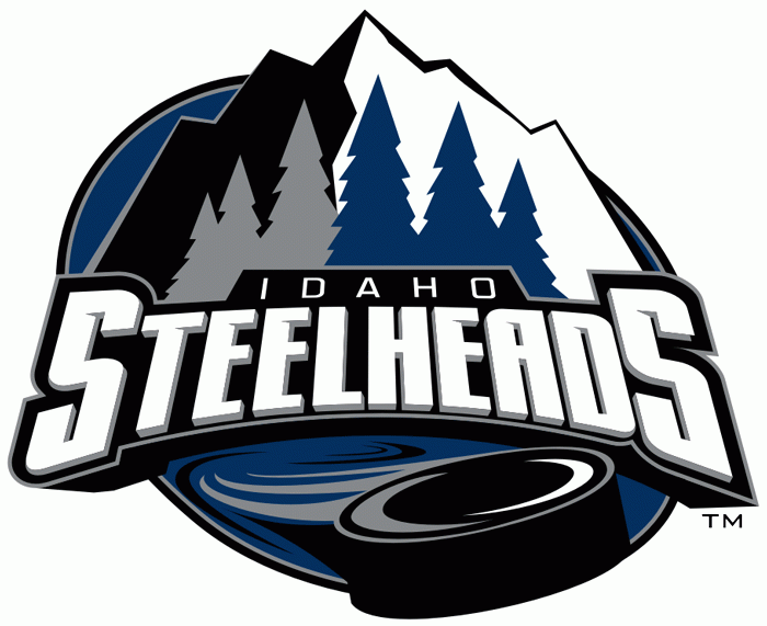 idaho steelheads 2011-pres alternate logo iron on heat transfer